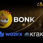 What İs Bonk Crypto